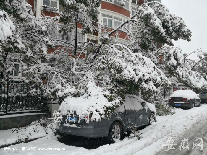 安徽等多地区突降大雪